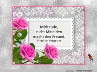 Mitfreude