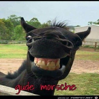 gut-morsche.jpg von Emilia