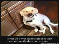 Keiner wei� es