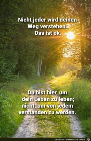 Nicht-jeder-wird-deinen-Weg-verstehen.jpg auf www.funpot.net