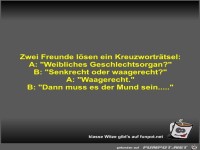 Zwei Freunde l�sen ein Kreuzwortr�tsel