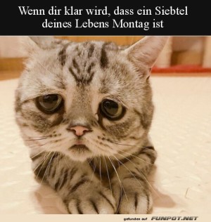 Der-Montag.jpg auf www.funpot.net