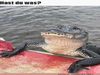 Hast du was f�r mich?