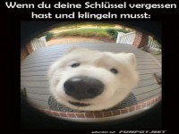 Hund an der T�r durch Fischaugenlinse