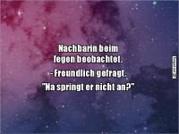 Humorvolle Beobachtung der Nachbarin