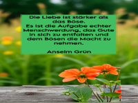 die liebe ist strker