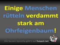 Der gef�hrliche Ohrfeigenbaum!