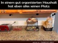 Ordnung muss sein: Katzenk�rbchen Deluxe!