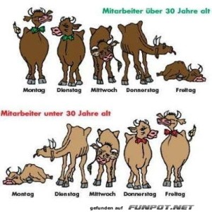 Mitarbeiter.jpg von Annelie-68