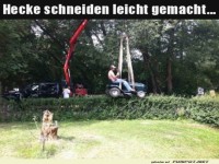 Hecke schneiden mal anders