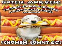Hotdog-Haustier: Fr�hst�ck der besonderen Art!