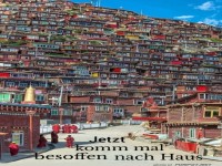 Wer findet sein Haus zuerst?