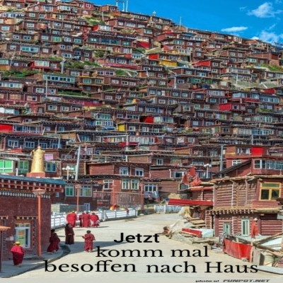 Wer-findet-sein-Haus-zuerst?.jpg von Erwin32