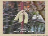 Worte sind die mchtigste Droge...