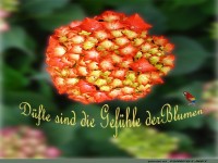 Duefte sind Gefuehle