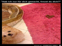 Nur f�r dich
