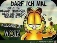 Guten Morgen