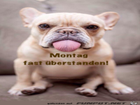 Fast �berstanden