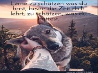 Lernen