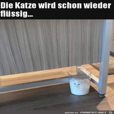 Es-ist-warm.jpg von Noah75