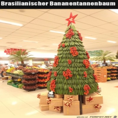 Cooler-Weihnachtsbaum.jpg von Mia