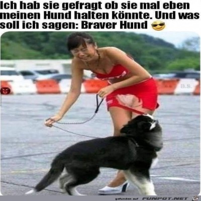Guter-Hund.jpg von Rebecca