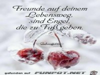 Freunde auf deinen Lebensweg