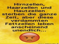 Zellen