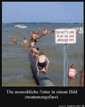 Typisch-Mensch.jpg auf www.funpot.net