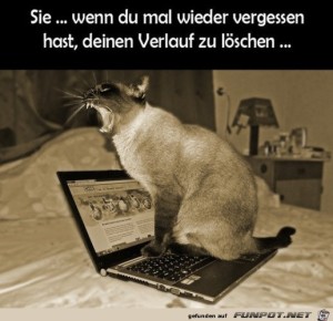 Den-Verlauf-nicht-gelscht.jpg auf www.funpot.net