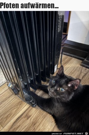 Pfoten-w�rmen.jpg auf www.funpot.net