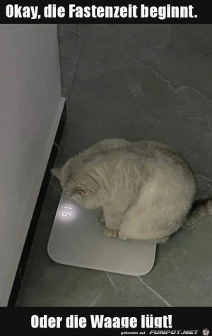 Fastenzeit.jpg auf www.funpot.net
