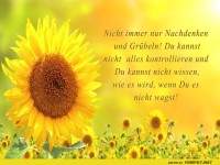 Nicht immer nur nachdenken