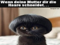 Lustige Frisur f�r Katzengeschichte