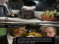 Kreative Katze löscht Gedächtnis wie MIB