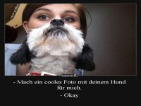 Lustiges Foto mit Hund als Hauptfigur