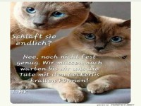 schlft sie endlich