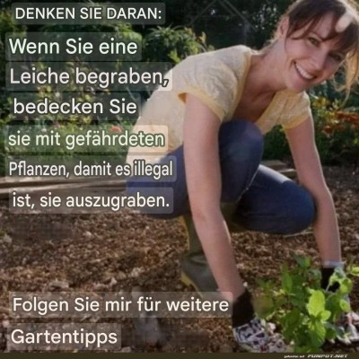 Gartentipps-für-geheime-Gärtner.jpg von Benno-2011