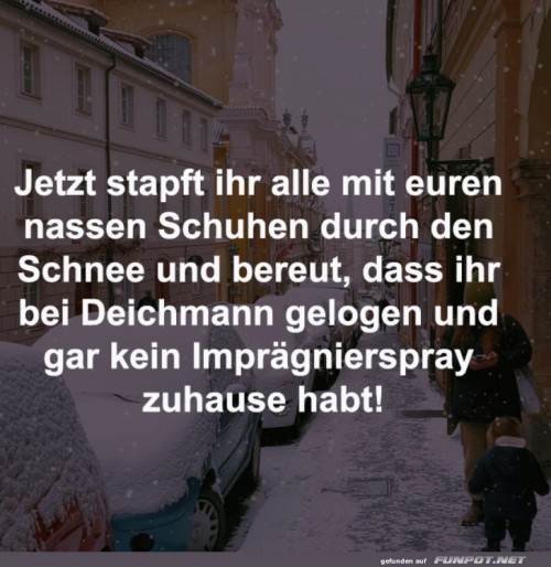 Wenn-der-Schnee-das-Impr�gnierspray-testet.jpg auf www.funpot.net