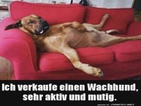 Klasse Wachhund