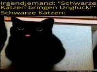 Schwarze Katze widerlegt Aberglauben!