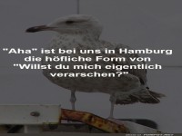 Hamburgs H�flichkeitslevel: M�wenmeinung!