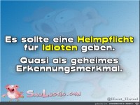 Helmpflicht-fuer-Idioten