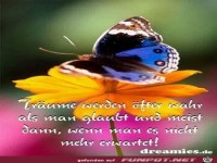 Tr�ume werden �fter wahr...