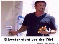 Sylvester kommt