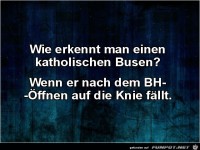 wie erkennt man einen katholischen Busen?.....