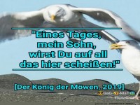 Koenig der Moewen
