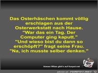 Das Osterh�schen kommt v�llig erschlagen aus der...