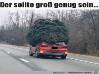 Gro�er Weihnachtsbaum