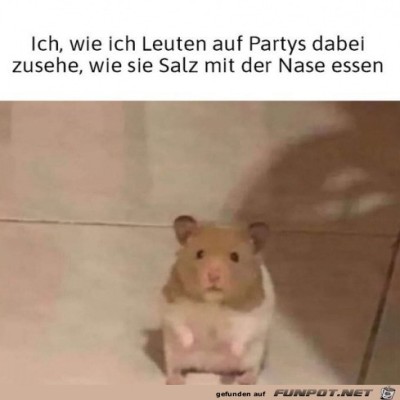 Erstaunter-Blick.jpg von Alya